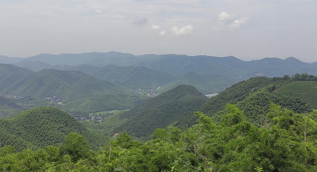 1689670969143049884.jpg QQ截圖20230718154520.jpg